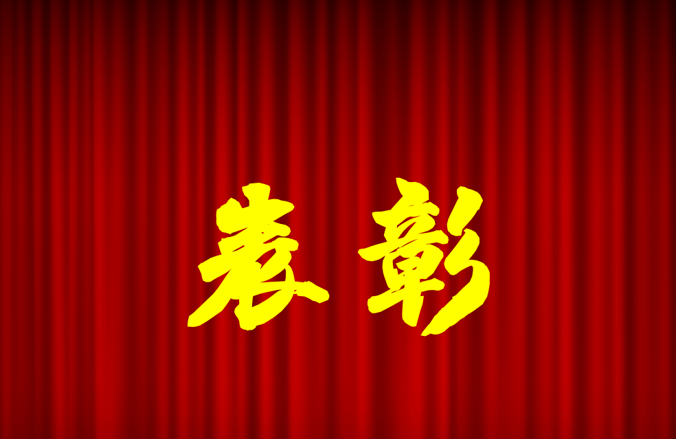 逐光前行、榮耀共鑒 | 公司2024年度表彰來(lái)啦！